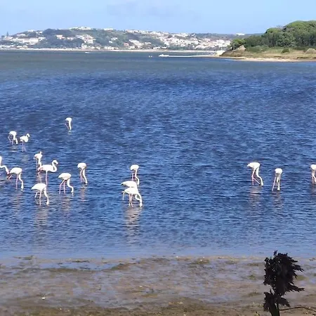 Casa Do Sol Nascente * 福斯·杜·阿勒奥