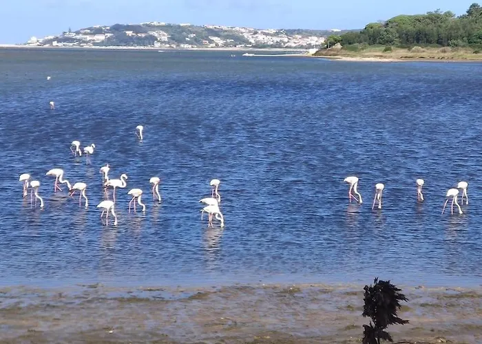 Casa Do Sol Nascente * Фош-ду-Арелью